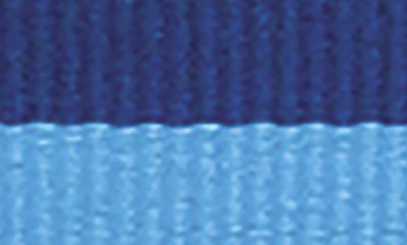 Blue / Light Blue Ribbon