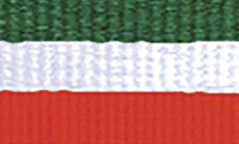 Green / White / Orange Ribbon