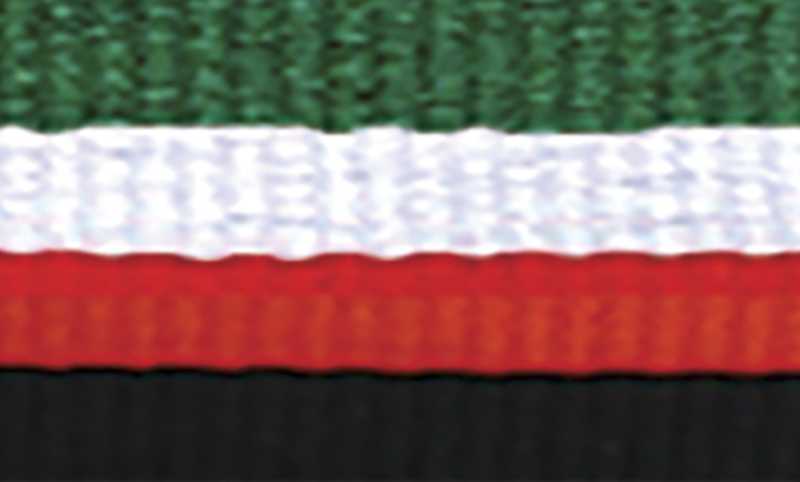 Green / White / Red / Black Ribbon