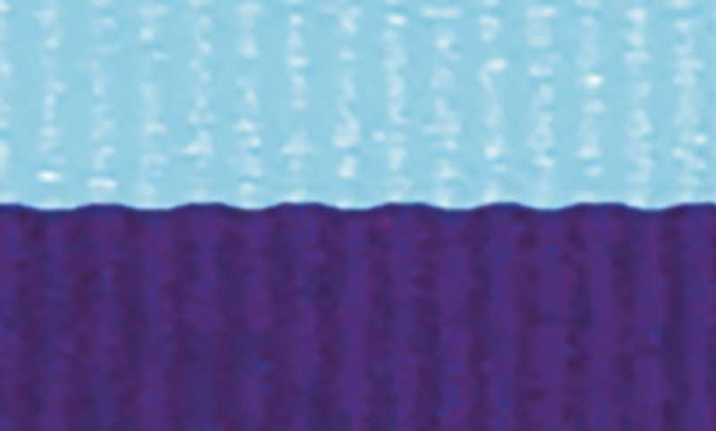 L.Blue / Purple Ribbon