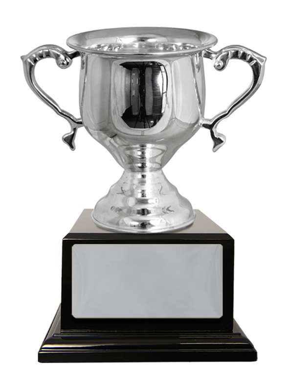Silver Plated Cup