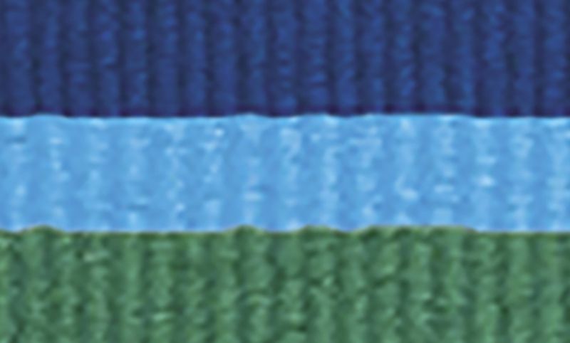 Blue L.Blue L.Green Ribbon