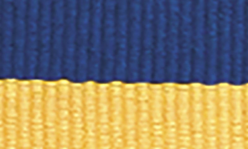 Blue Yellow Ribbon