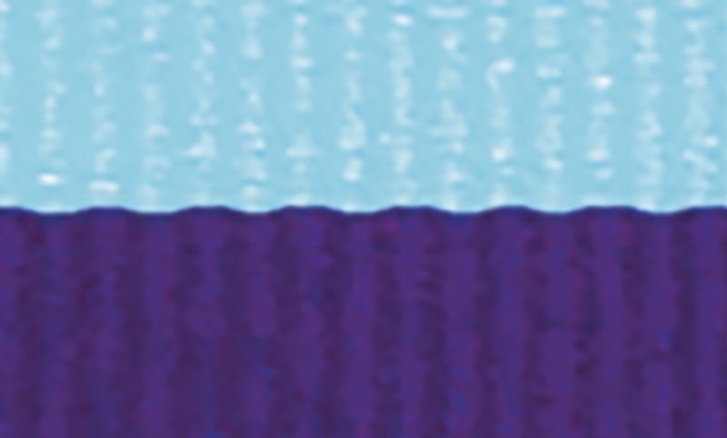 L.Blue Purple Ribbon