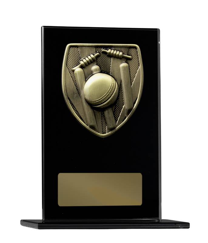 Cricket Glass Trophy 200mm