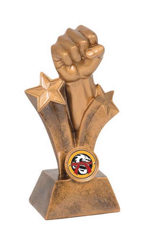 Martial Arts – Karate Fist – 25mm Insert
