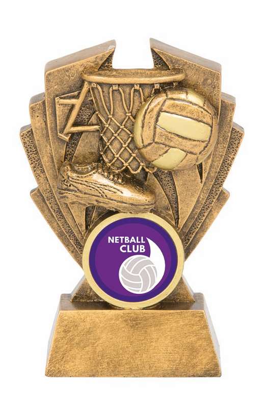 Hawk Series – Netball