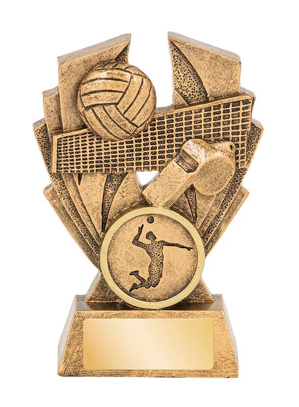 Hawk Series – Volleyball
