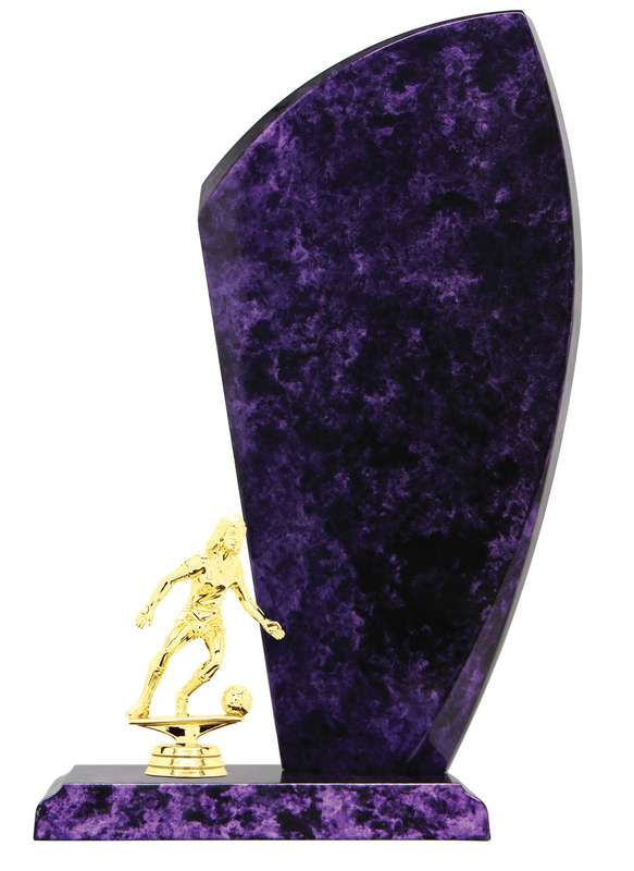 Football/Soccer Catalogue Trophy