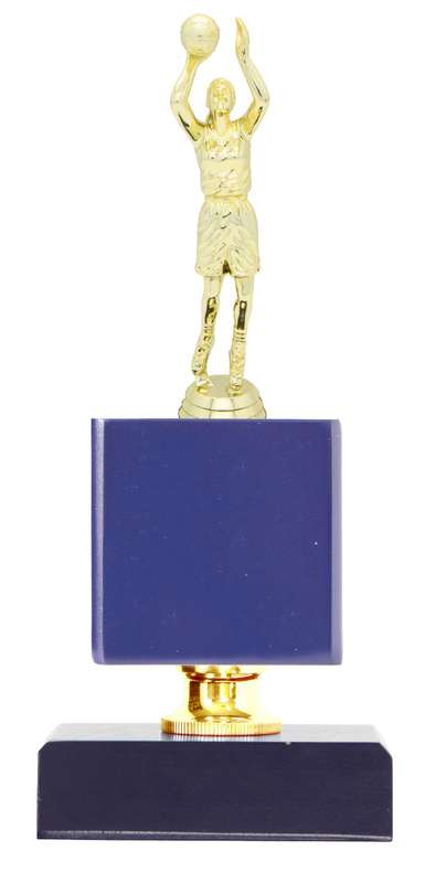Basketball Catalogue Trophy