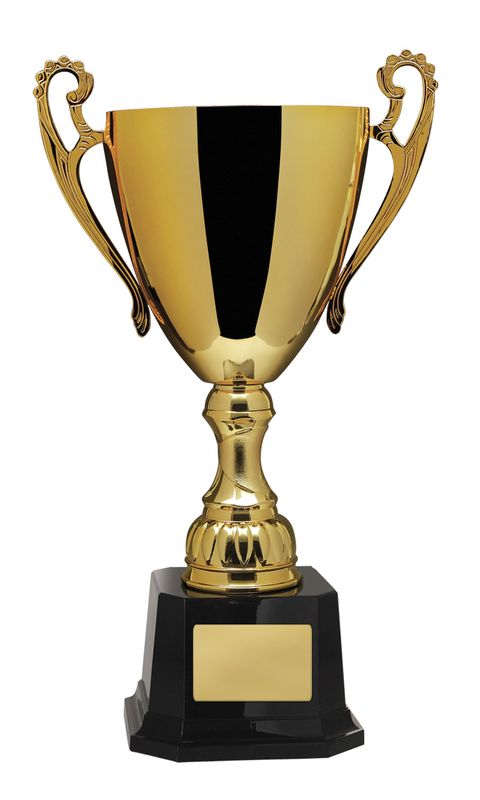 Achievement Gold Cup 277mm