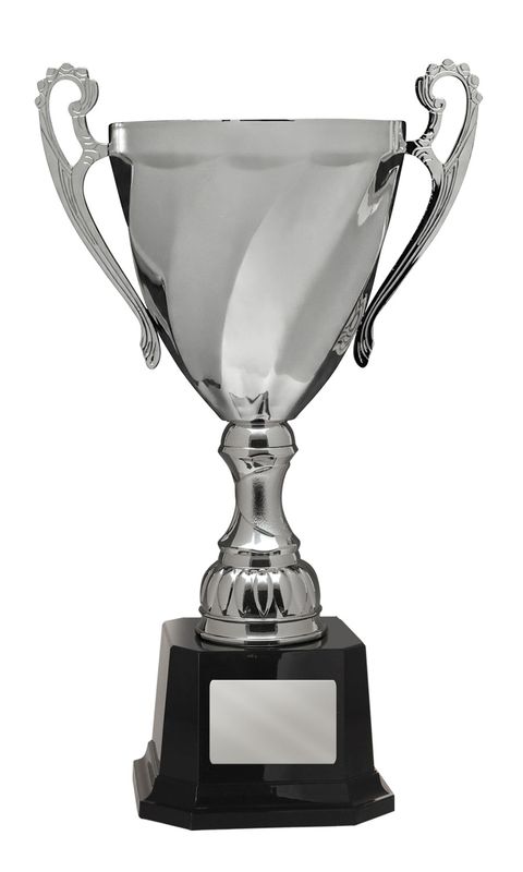 Achievement Silver Cup 277mm