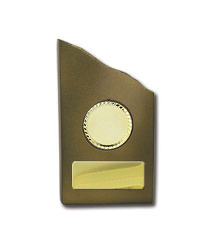 Gold All Sports Trophy 210mm