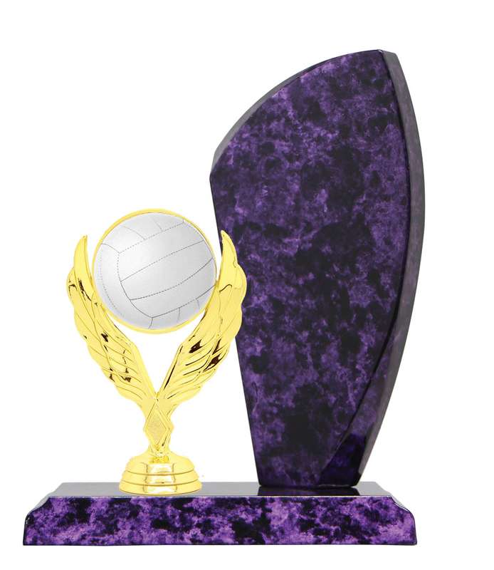Netball Catalogue Trophy