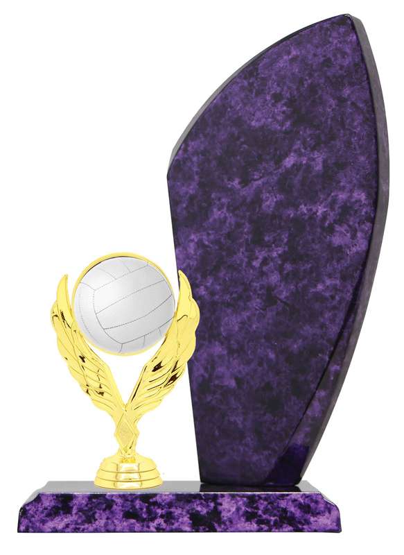 Netball Catalogue Trophy