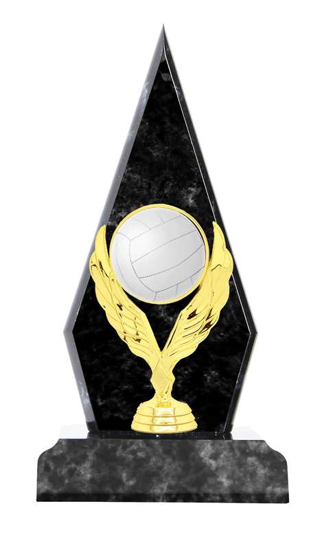 Netball Catalogue Trophy