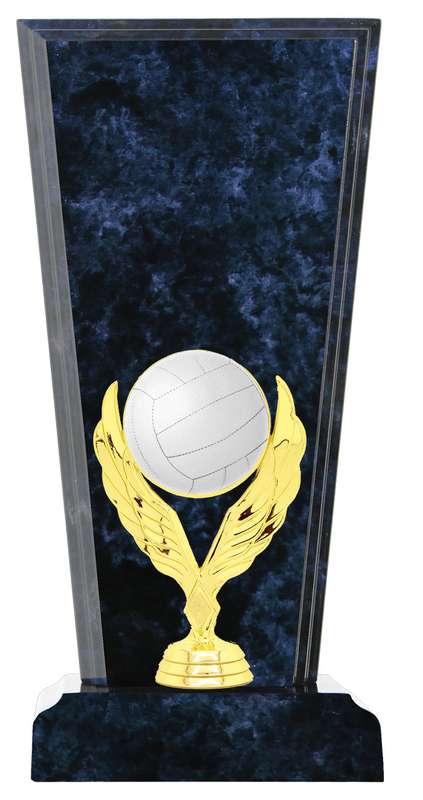 Netball Catalogue Trophy
