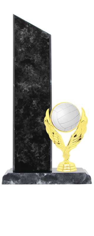 Netball Catalogue Trophy