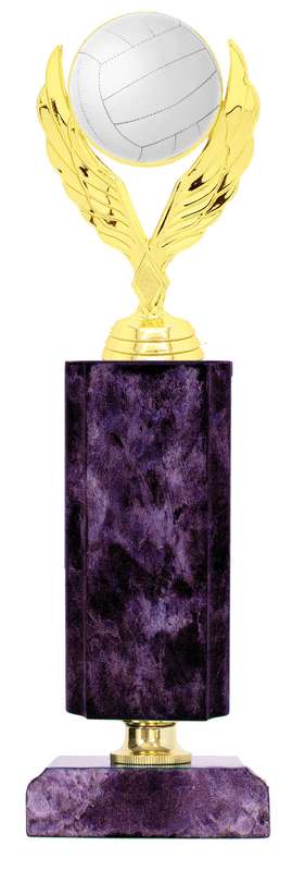Netball Catalogue Trophy