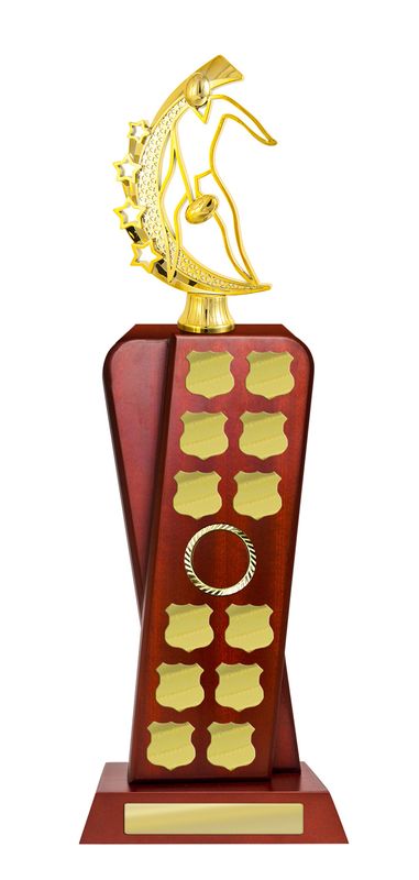 Aussie Rules Perpetual Trophy 440mm