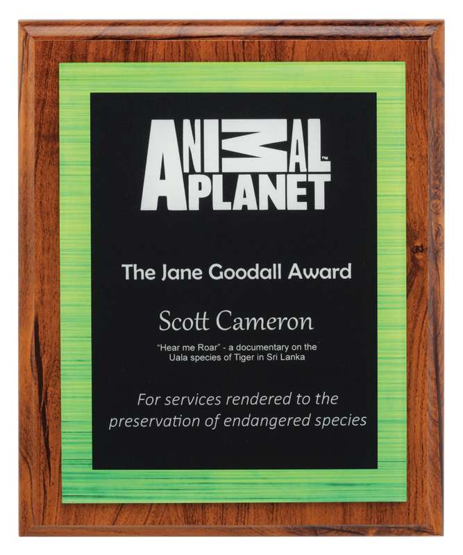 Vivid Green Plaque