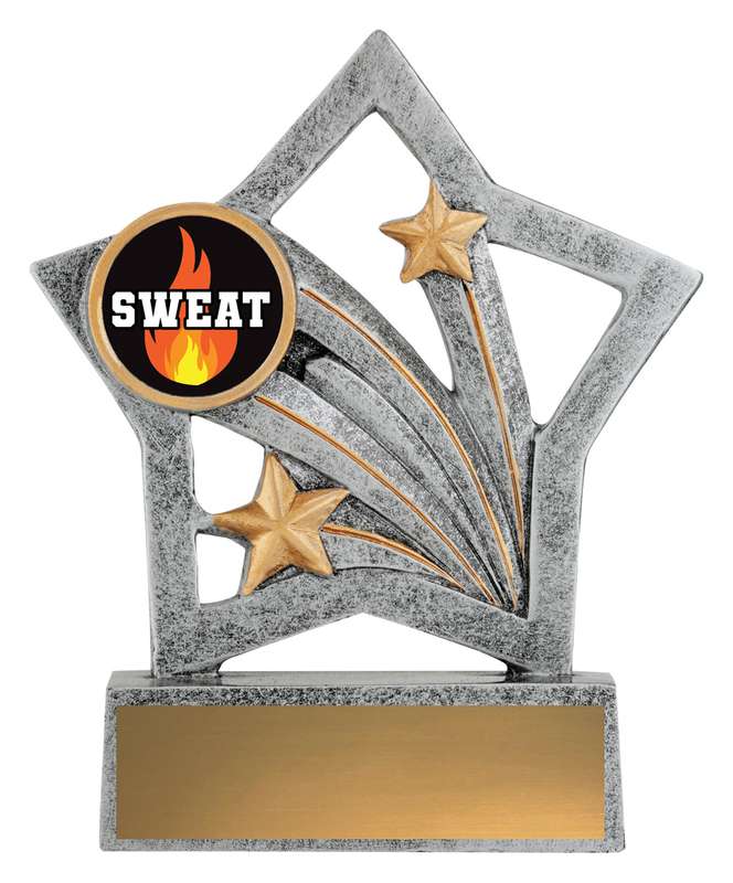 Flash – Sweat Training