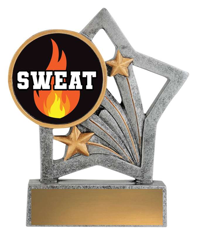 Flash – Sweat Training