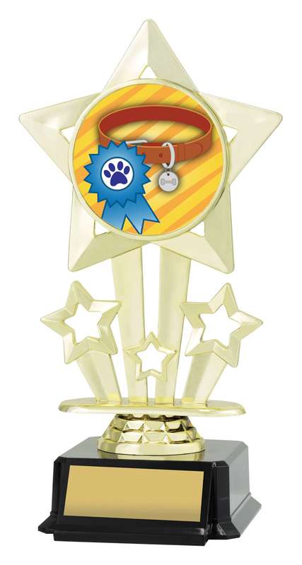 Icon Star – Ribbon & Collar
