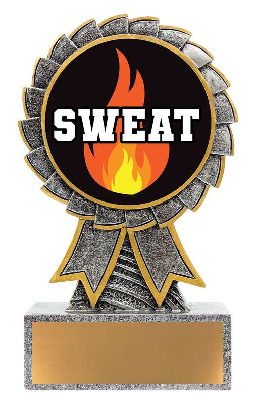 Aster – Sweat Training