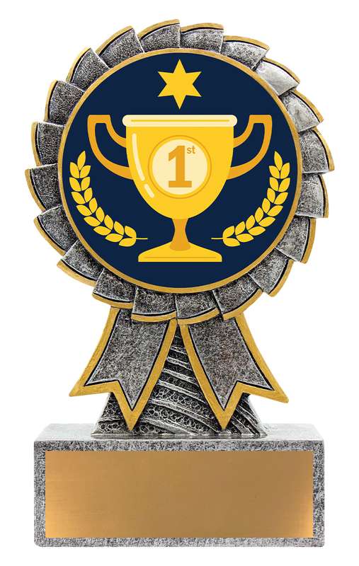 Aster – 1st Place