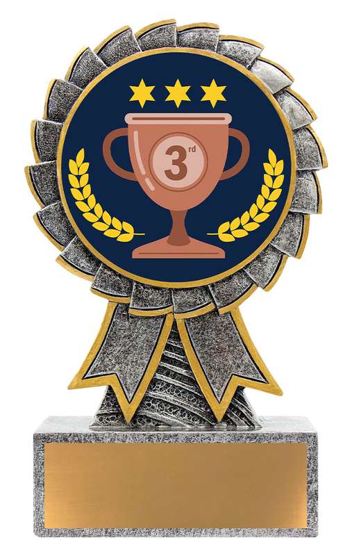 Aster - 3rd Place