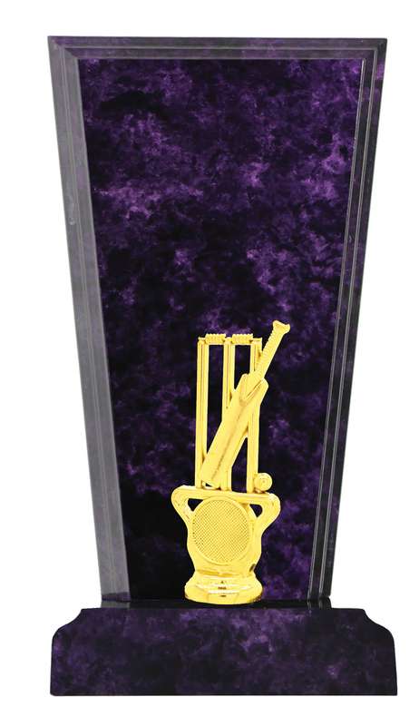 Cups, Timber & Medals Catalogue Trophy