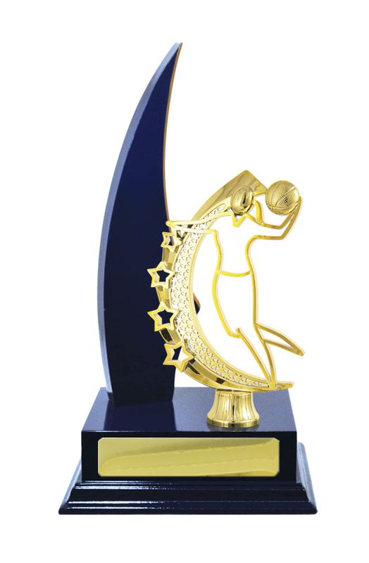 Basketball Trophy 270mm
