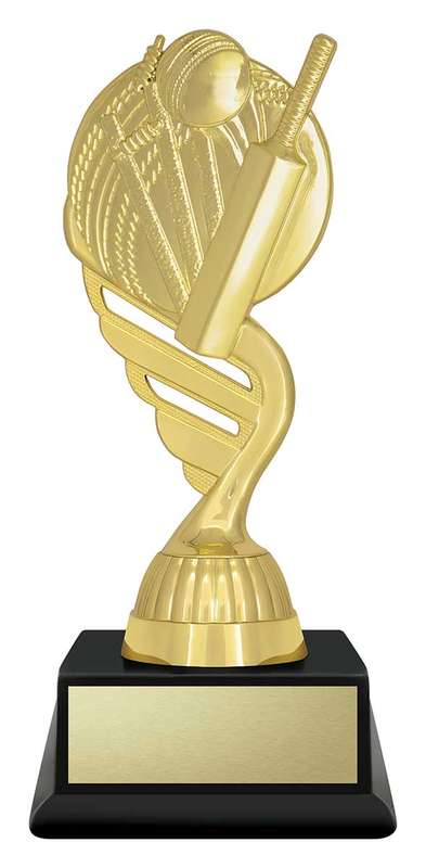 Budget Gold – Cricket