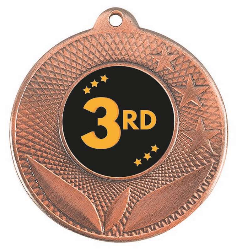 Soni Series - Bronze Budget Insert Medals