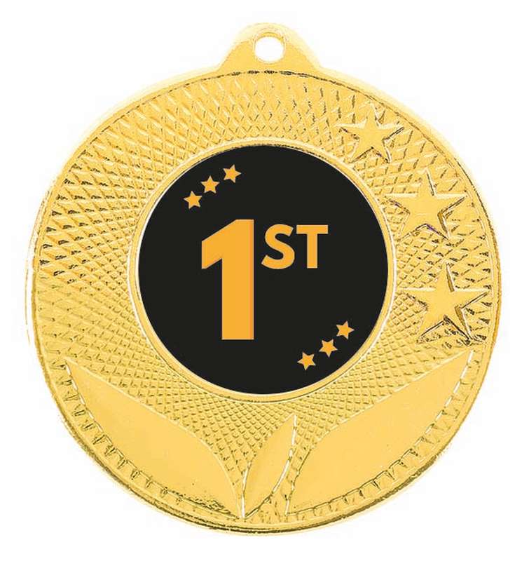 Soni Series – Bronze Budget Insert Medals