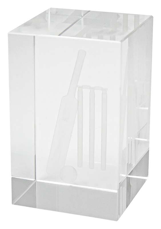Cricket Crystal Block