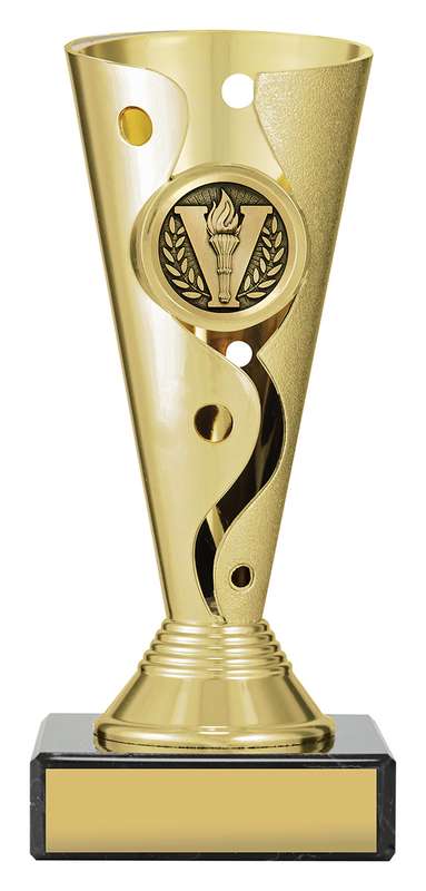 Carnival Cup – Achievement