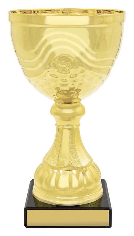 CUP162D