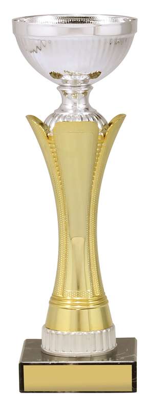 CUP167E