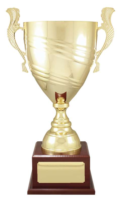 CUP203E