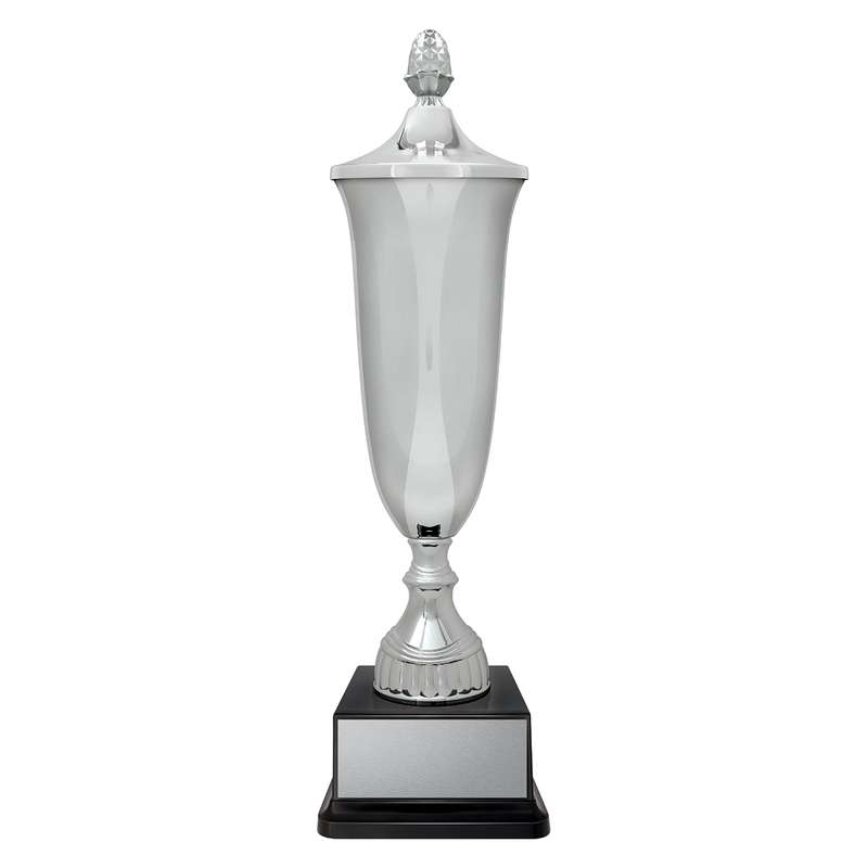 Arsenal Cup
