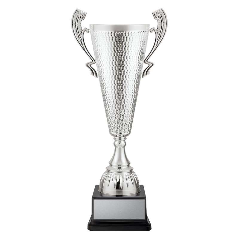 Sentinel Cup