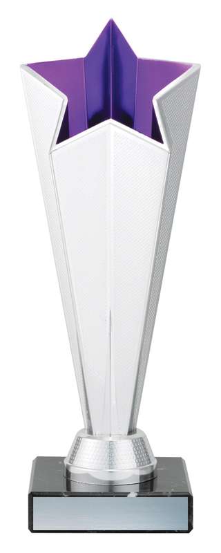 D5171C