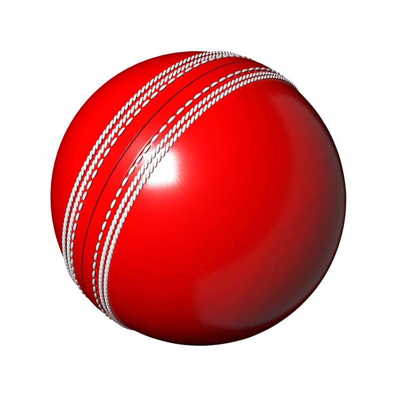 Cricket Insert – 50mm