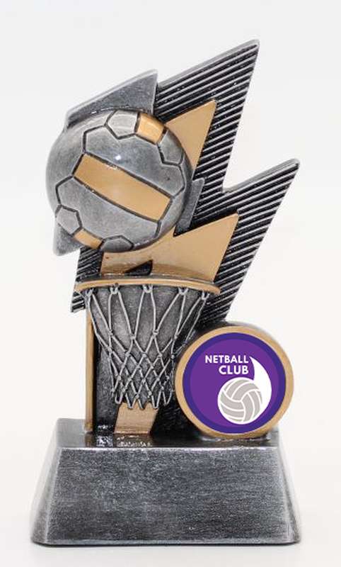 Flash Series – Netball