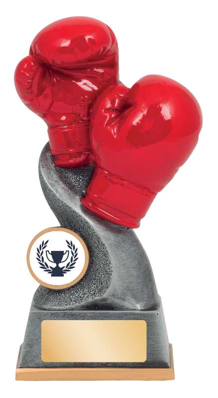 Boxing - Gloves - 25mm Insert