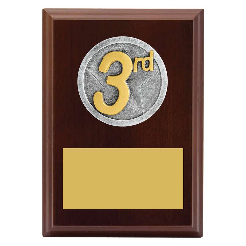 Peak Plaque 3rd Place