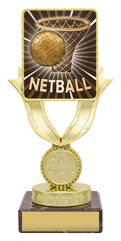 Lynx Bold – Netball