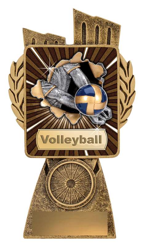 Antique Gold Lynx – Volleyball